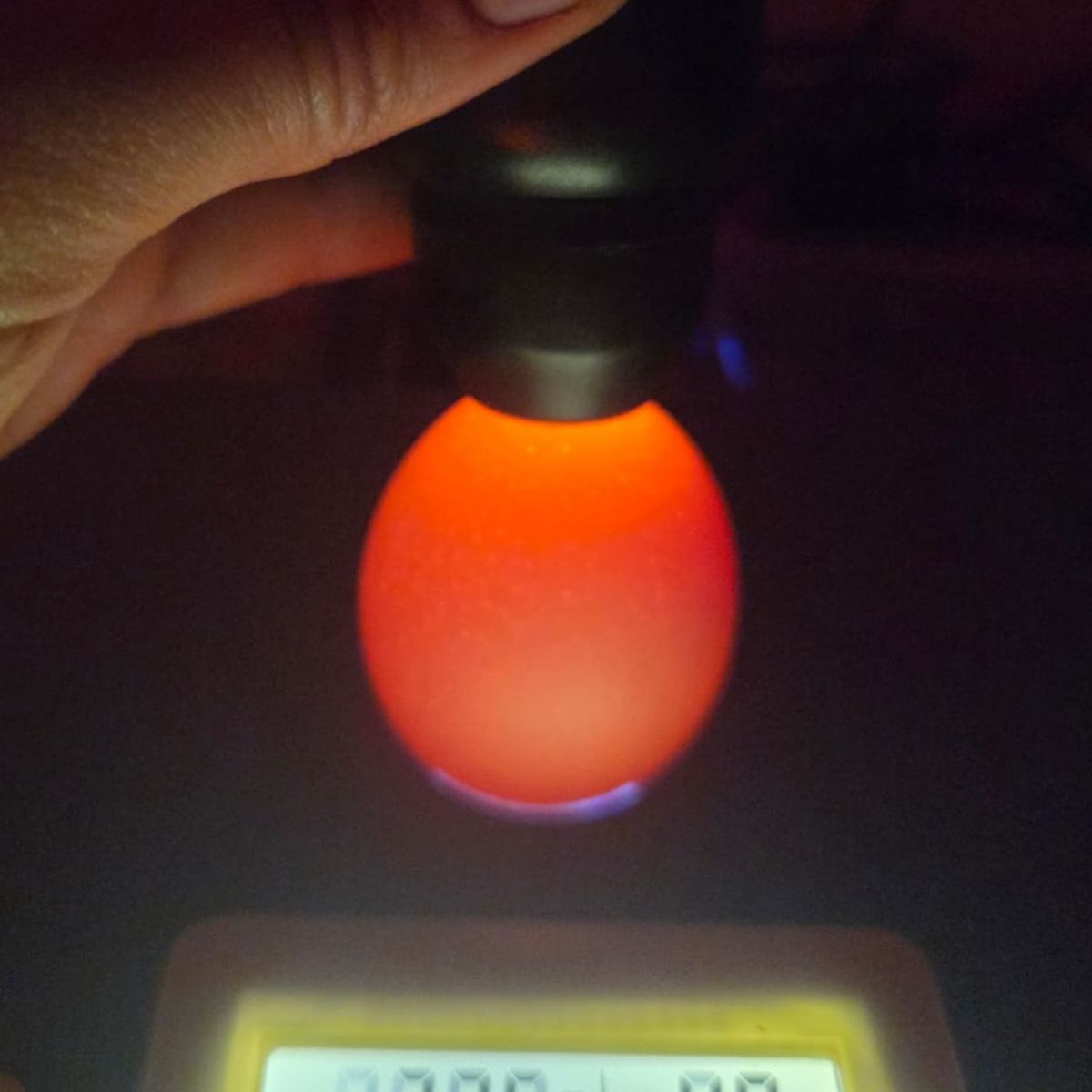 Free‑Range Brown Layer Mix – Fertile Hatching Eggs - Image 3