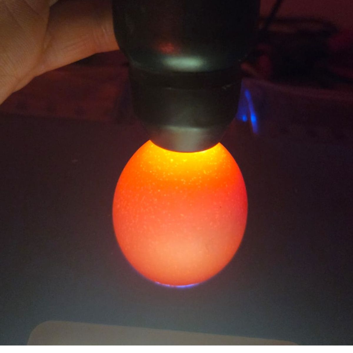 Free‑Range Brown Layer Mix – Fertile Hatching Eggs - Image 2