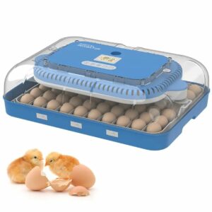 Fully Automatic Egg Candler Mini Egg Incubator Hatching Machine for 70 eggs