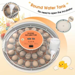 Wonegg 30‑Egg Automatic Incubator with Temp/Humidity Monitor & Auto Turner – Full‑View Hatching Machine