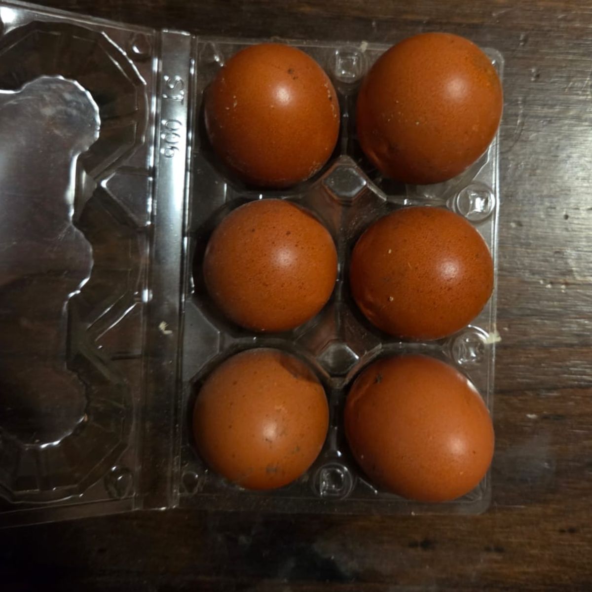 French Black Copper Maran Fertile Eggs – Rich Chocolate Layers