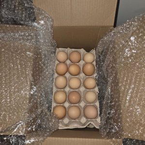 60 Free-Range Eggs Delivered to Your Nearest PUDO Locker